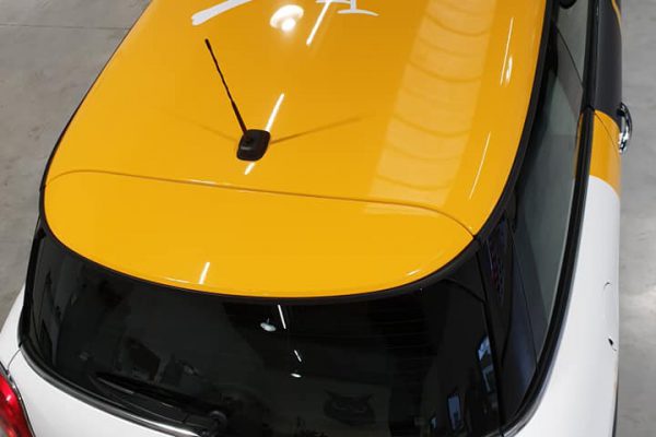 75161607_586026872152306_3783997957372641280_n